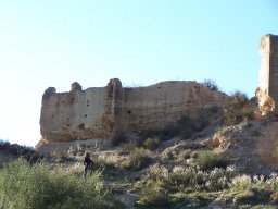 Castillo de Pliego 2009